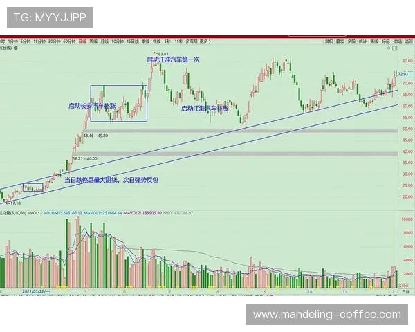 武汉与深圳排球队赛后技术分析与战术复盘探讨