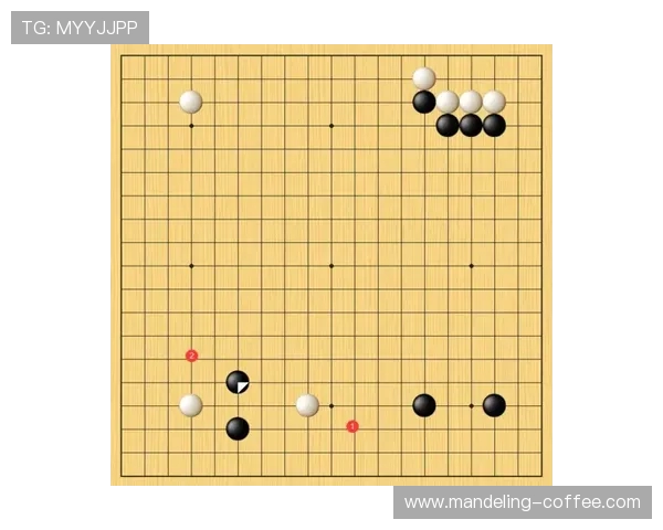 武汉排球队防守策略深度分析与战术解读