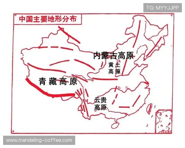 武汉篮球队边路渗透战术分析及其对比赛结果的影响探讨