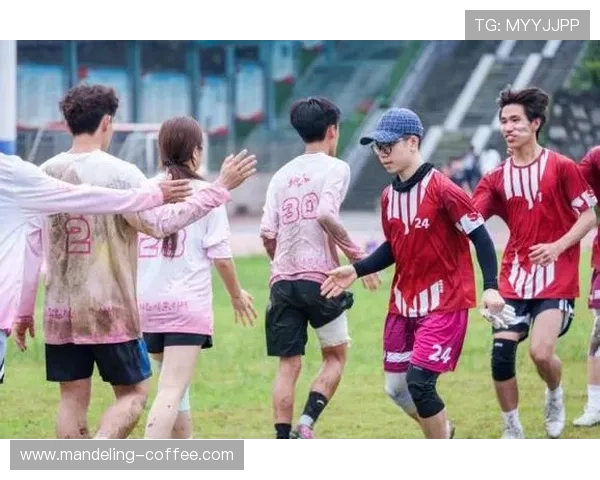 飞盘力量排行榜揭晓深圳飞盘队荣获第二名佳绩引关注