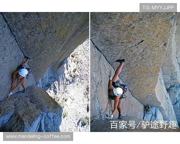 上海攀岩队的阵地战分析与反思：成功与挑战并存的攀岩之路