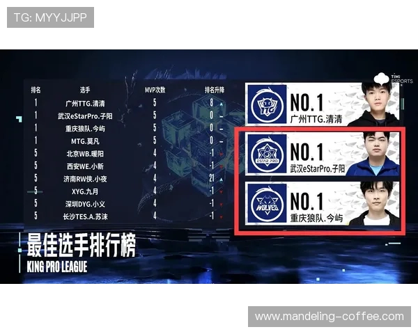 成都排球队个人能力排名创新高引发热议展现年轻选手潜力与实力