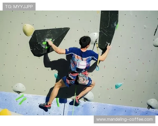 杭州攀岩队在滑板精英赛中的战术运用与表现分析